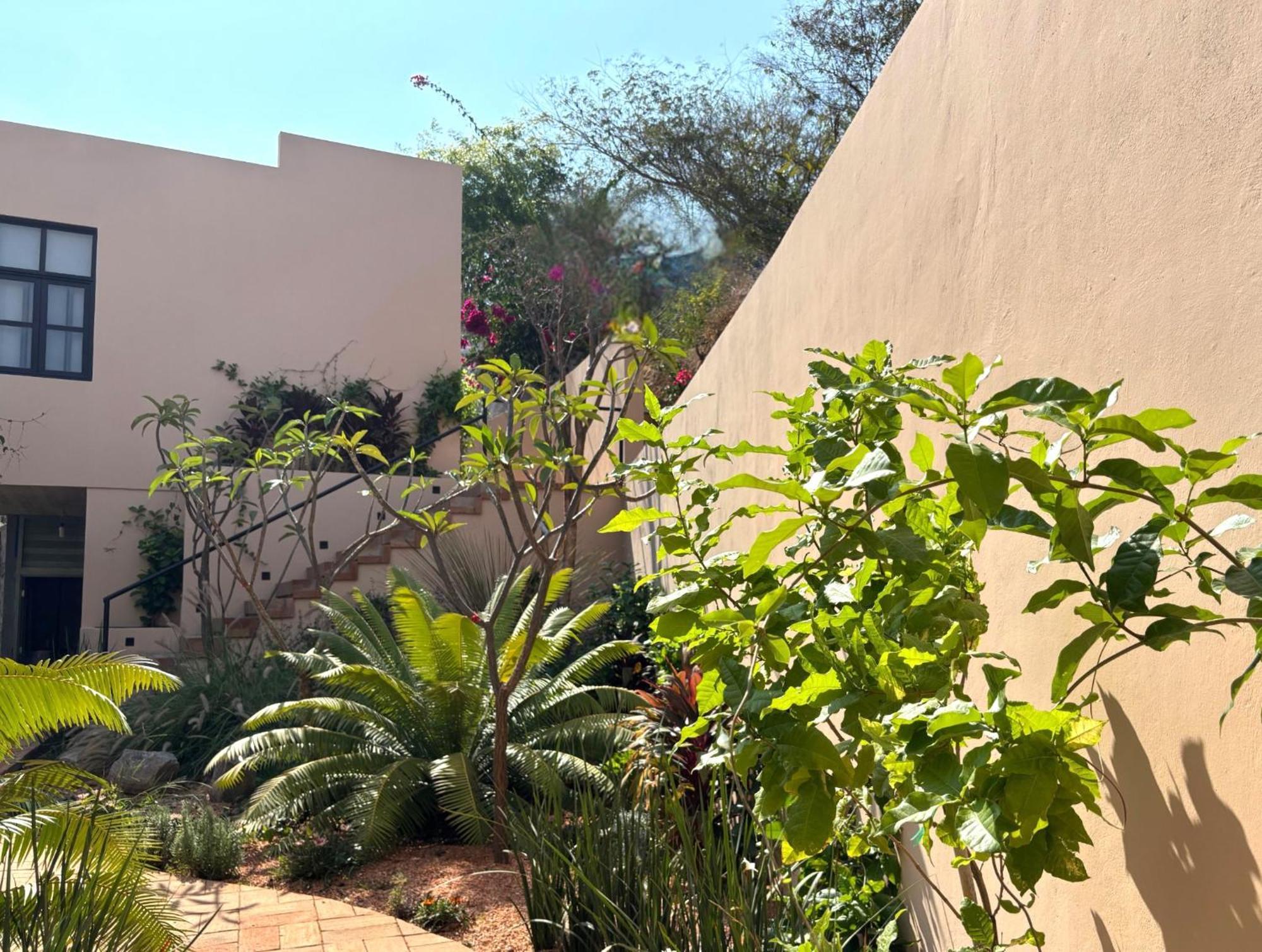Casa Las Almas Mazunte Exterior photo